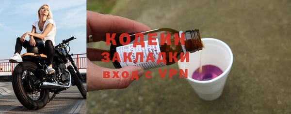 шишки Новозыбков