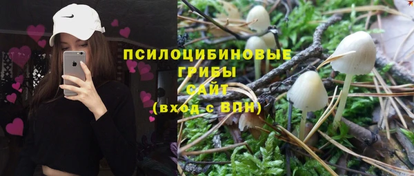 мет Армянск