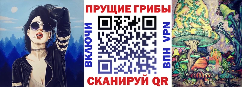 где купить наркоту  блэк спрут ссылка  Псилоцибиновые грибы Psilocybe  Покачи 