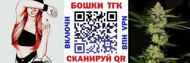 Бошки Шишки планчик Покачи